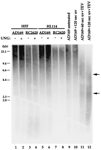 FIG. 5