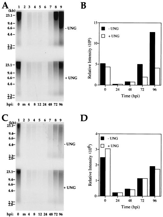 FIG. 6