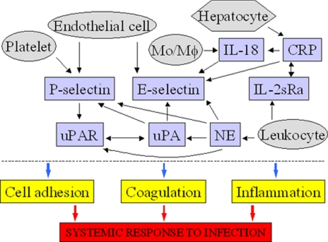 Fig. 3.