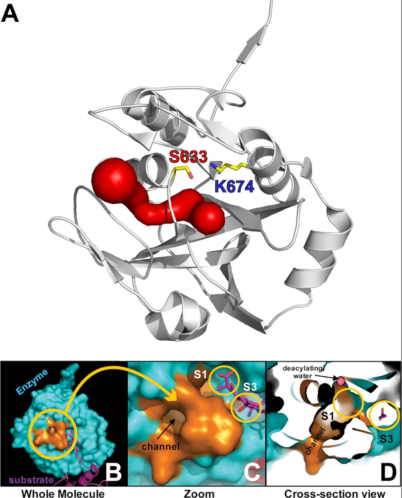 FIGURE 7.