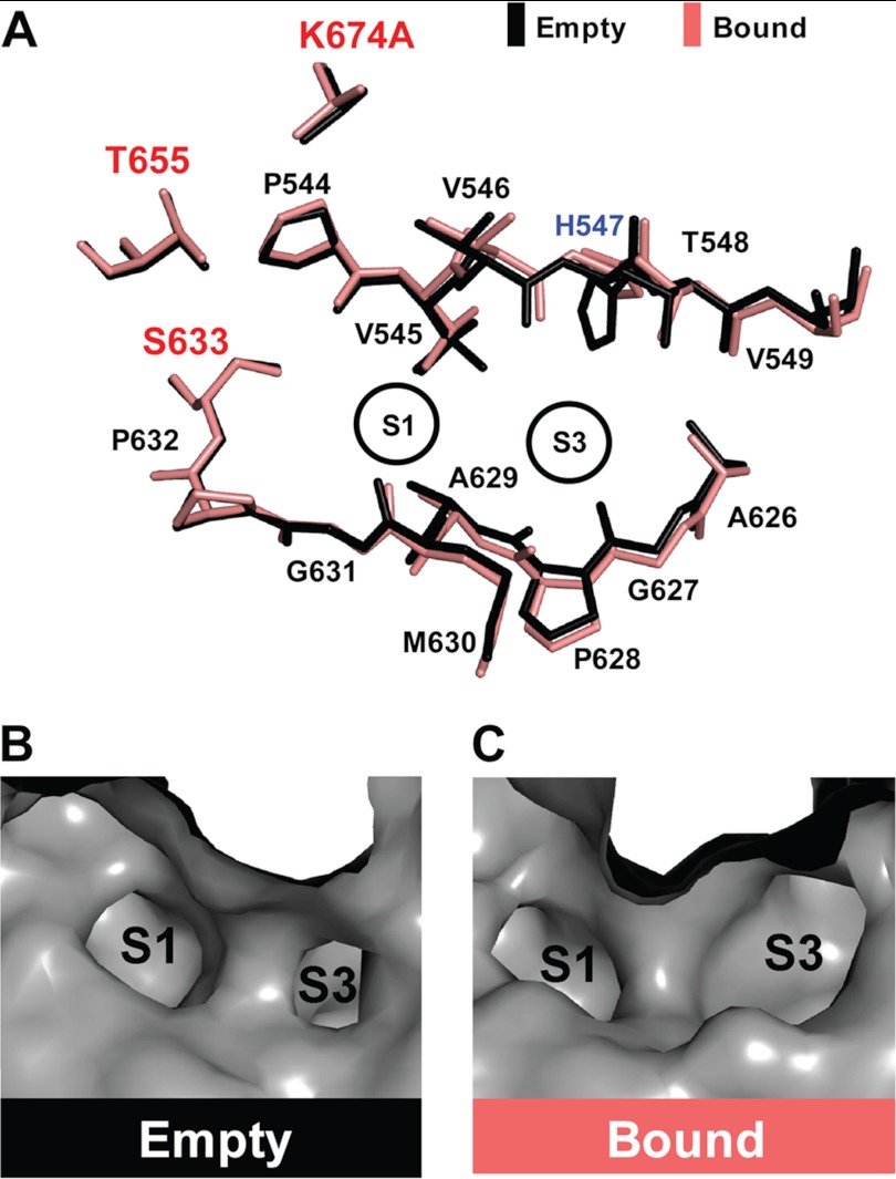 FIGURE 6.