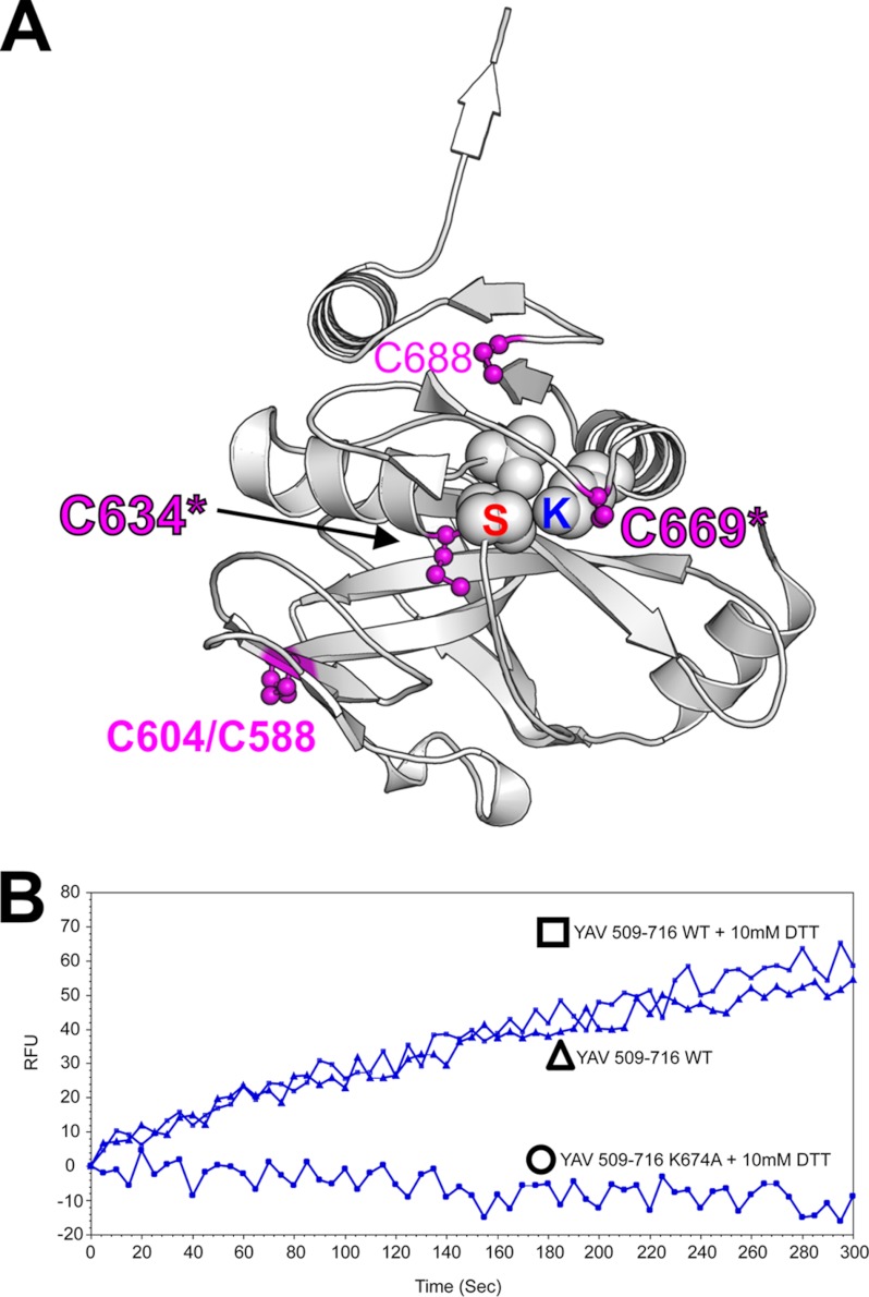 FIGURE 10.