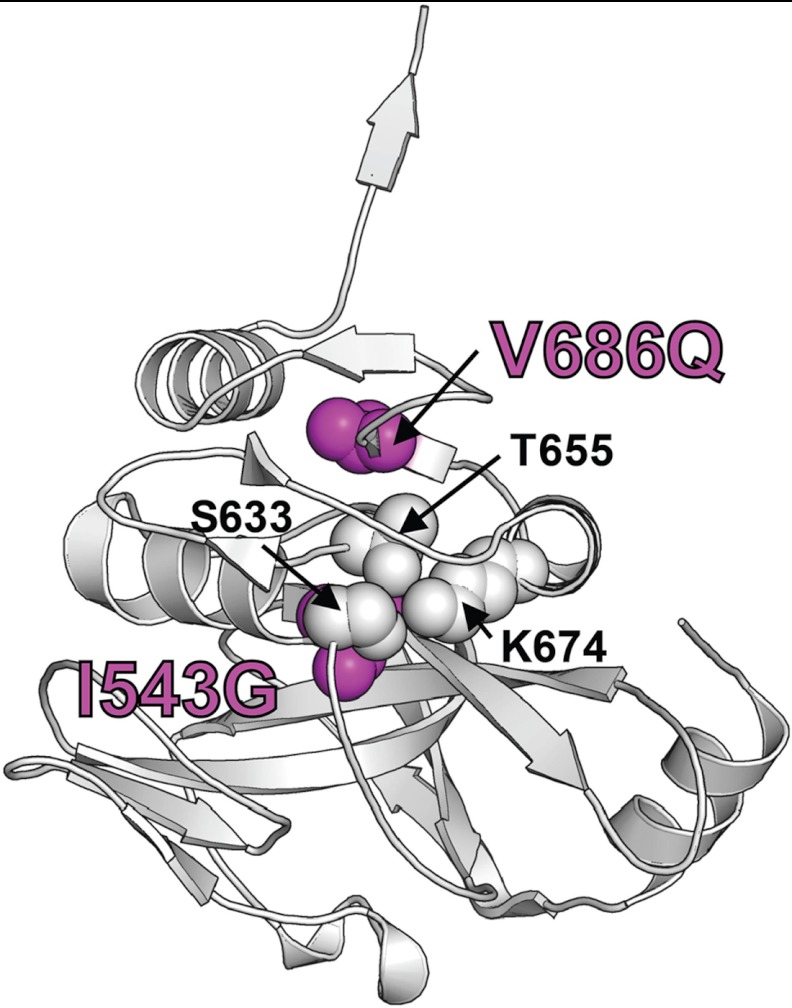 FIGURE 9.