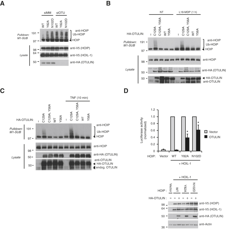 Figure 6