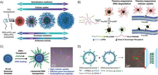 Figure 20