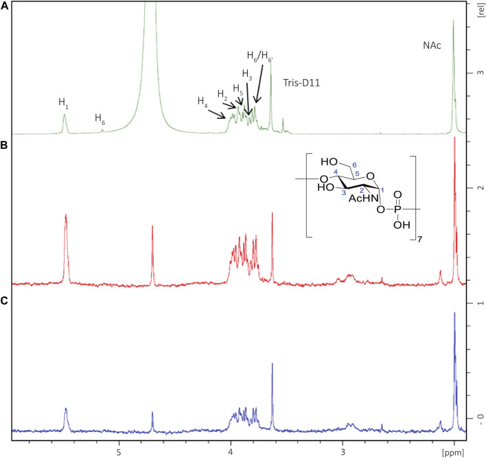 FIGURE 4