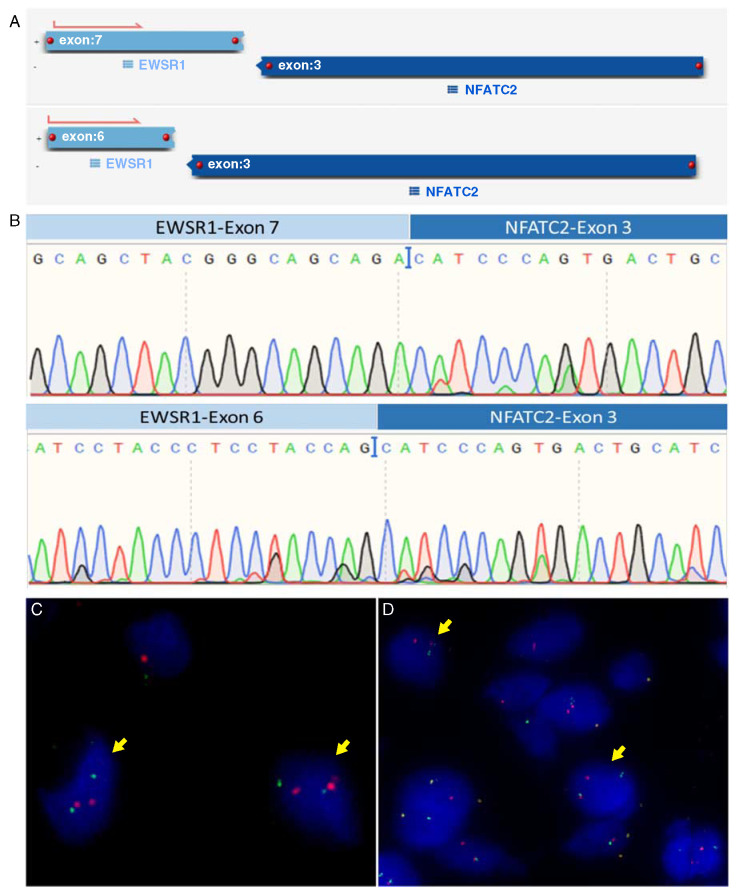 FIGURE 1