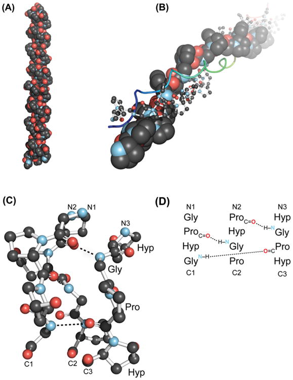 Fig. 10