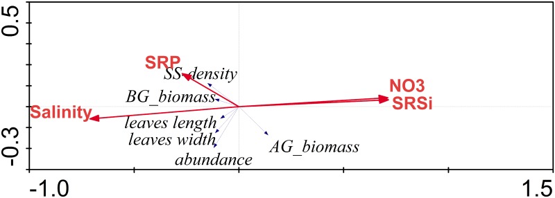 Fig 10