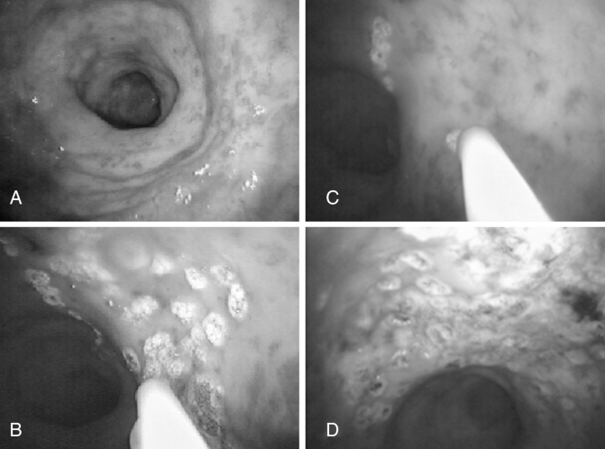 Figure 1)