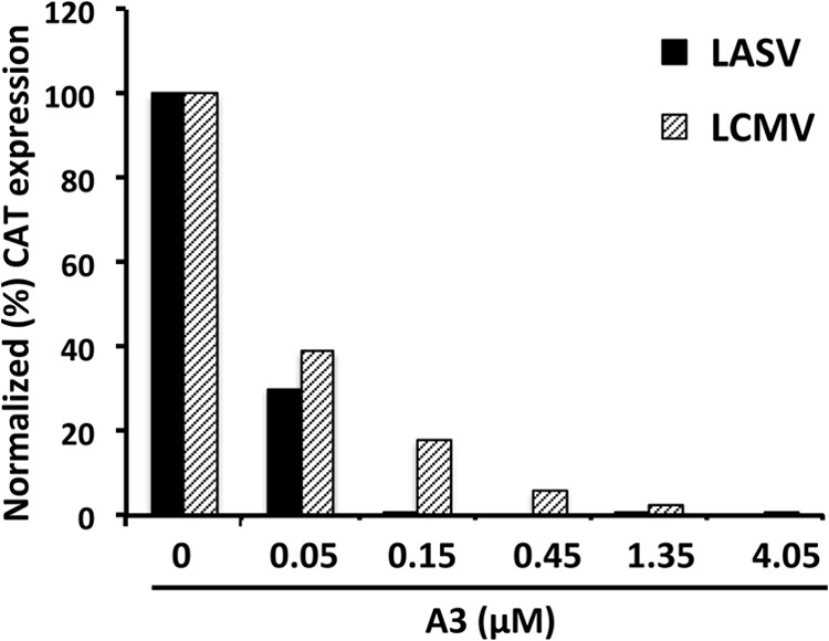 FIG 9