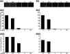FIG 8