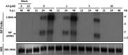 FIG 7