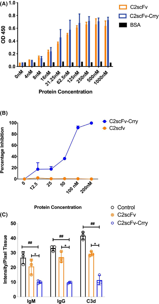 FIGURE 2