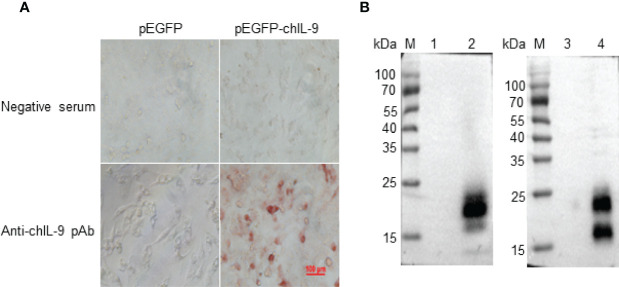 Figure 4