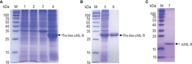 Figure 3