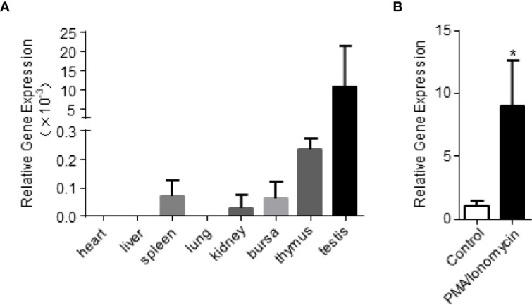 Figure 2