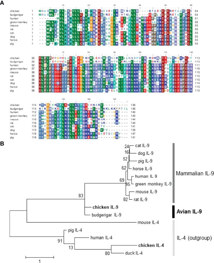 Figure 1