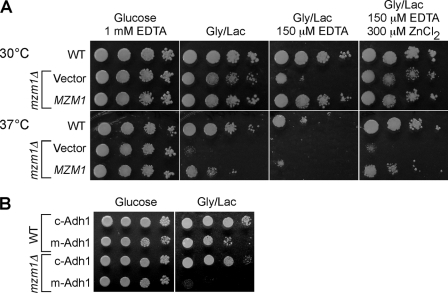 FIGURE 3.