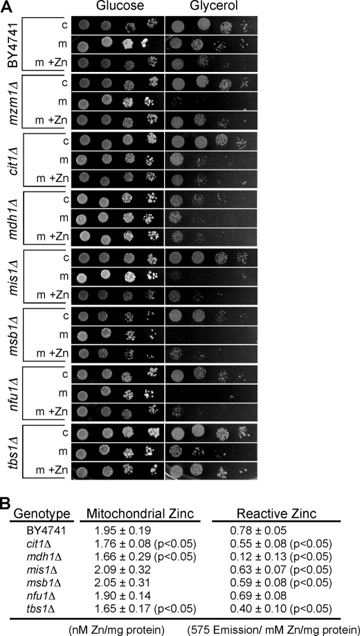 FIGURE 4.