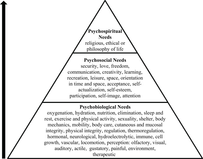 FIGURE 1.