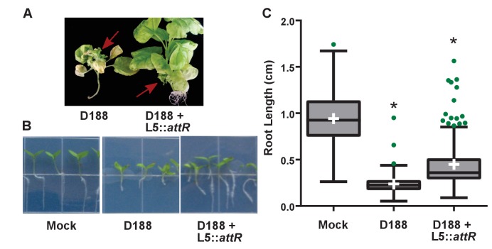 Figure 6—figure supplement 3.