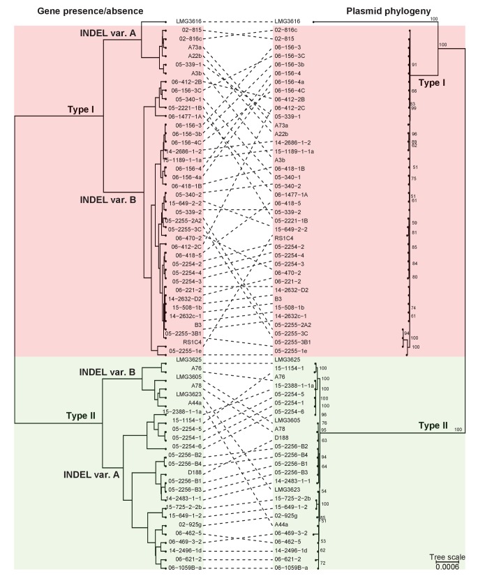 Figure 3—figure supplement 1.