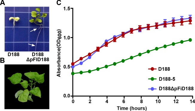 Figure 6—figure supplement 2.