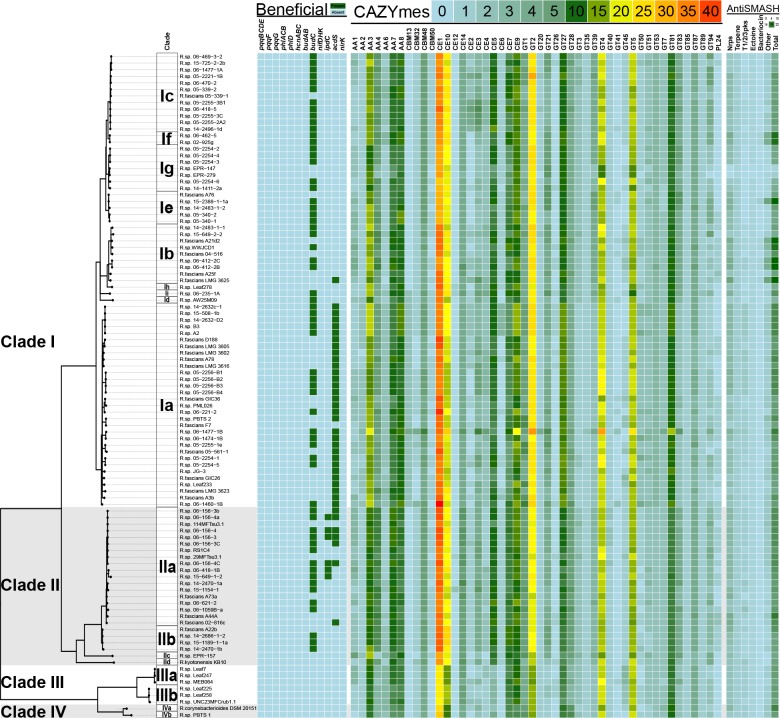 Figure 5—figure supplement 2.