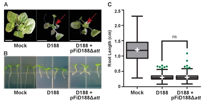 Figure 6—figure supplement 1.