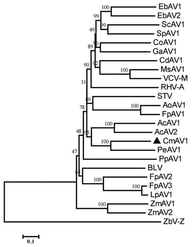 Figure 7