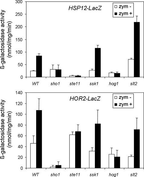 FIGURE 4.