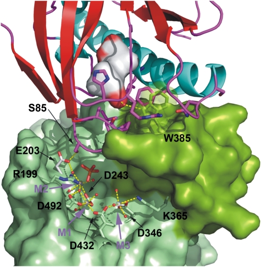 Figure 2.