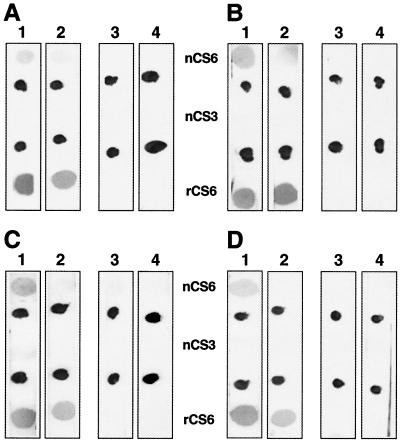 FIG. 4.