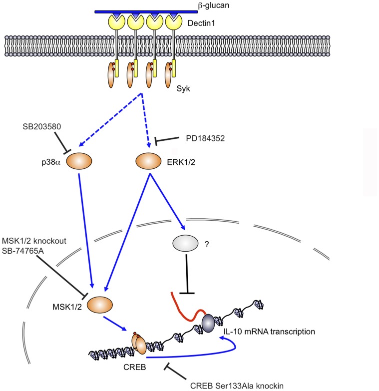 Figure 12