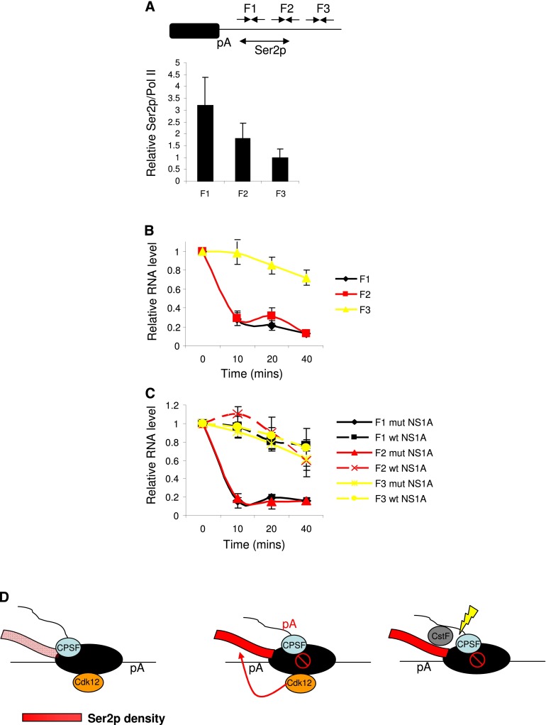 Figure 7.