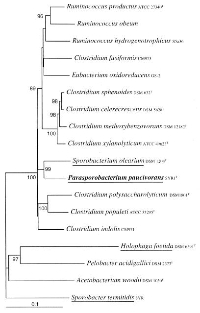 FIG. 5