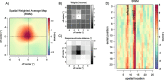 Fig. 8