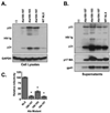 FIG 8