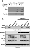 FIG 7