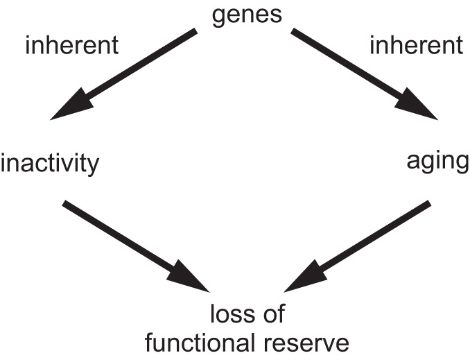 FIGURE 11.