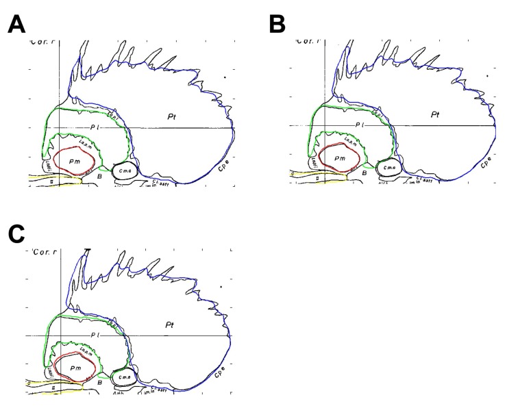 Fig. (4)