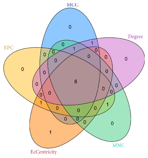 Figure 5