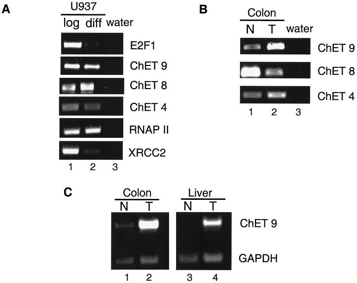 FIG. 7