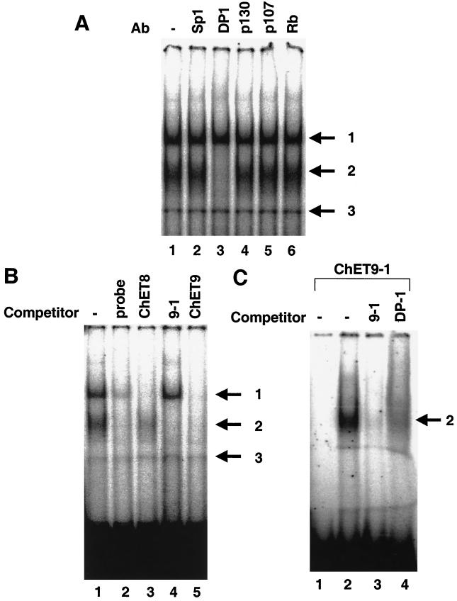 FIG. 6