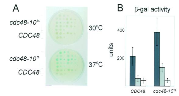 FIG. 5.