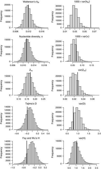 Figure 4.—