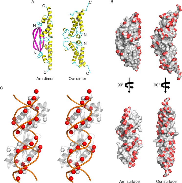 FIGURE 1.