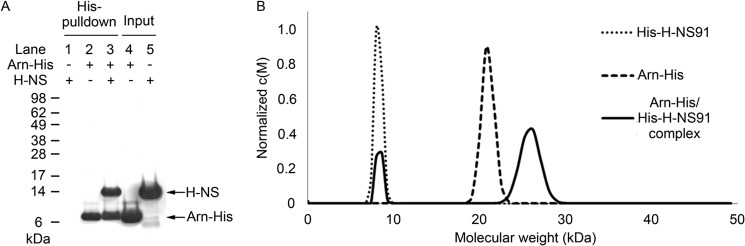 FIGURE 3.