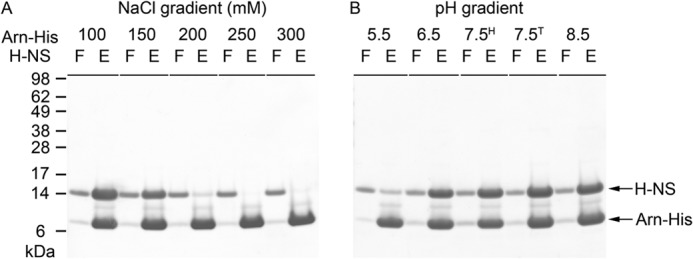 FIGURE 4.